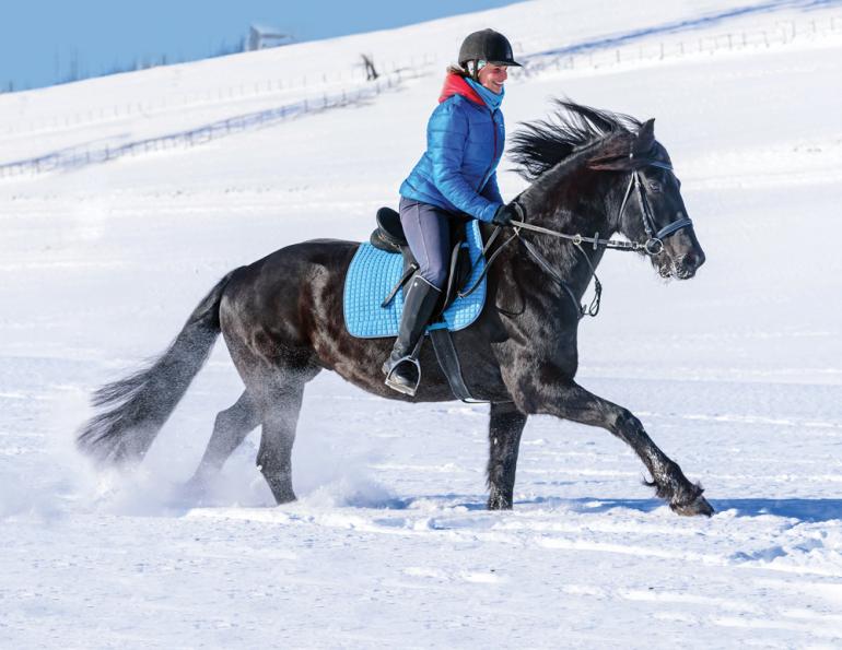 how do i canter my horse, preparing a horse to canter, ways to canter, jec ballou horse training, types of equine gaits, benefits of cantering horse
