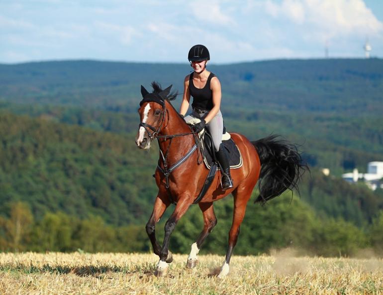 horse respiration, equine fitness, breathing rate horses, conditioning horses, horse heart rate, equine biomechanics, horse training and fitness, respiratory rate exercise