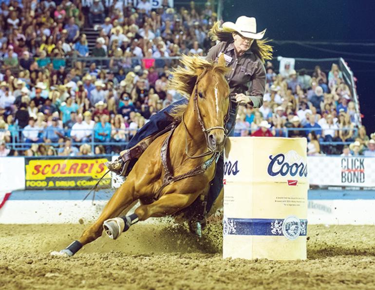 osteoarthritis in horses, equine osteoarthris, equine oa, joint inflammation horses, symptoms arthritis horses, equine lameness, uc davis center of equine health