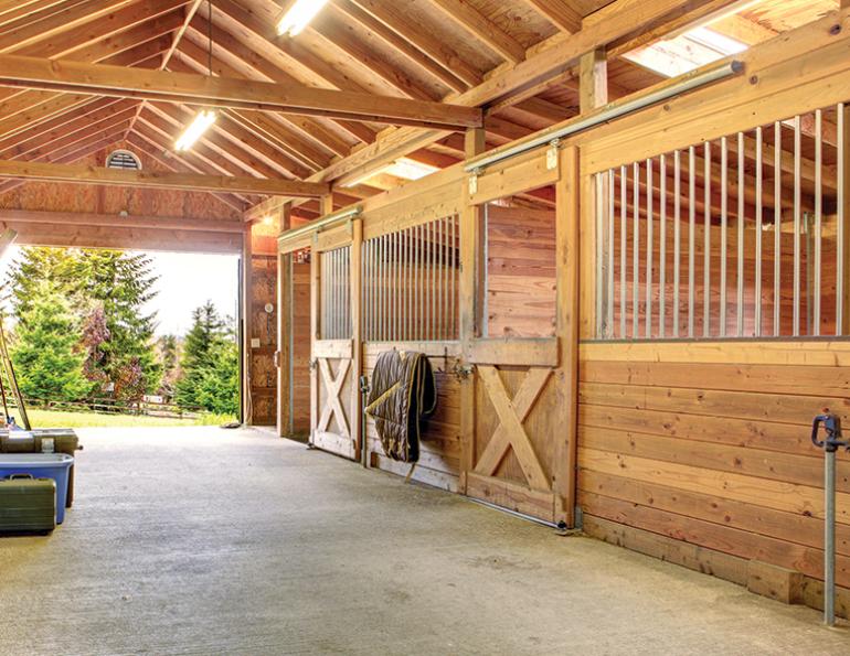 design Horse Stall layout, Eileen Wheeler, Ph.D., Professor of Agricultural Engineering, dimensions of horse stall, ventilating horse stall, equine respiratory, lights for horse stall, flooring for horse stall