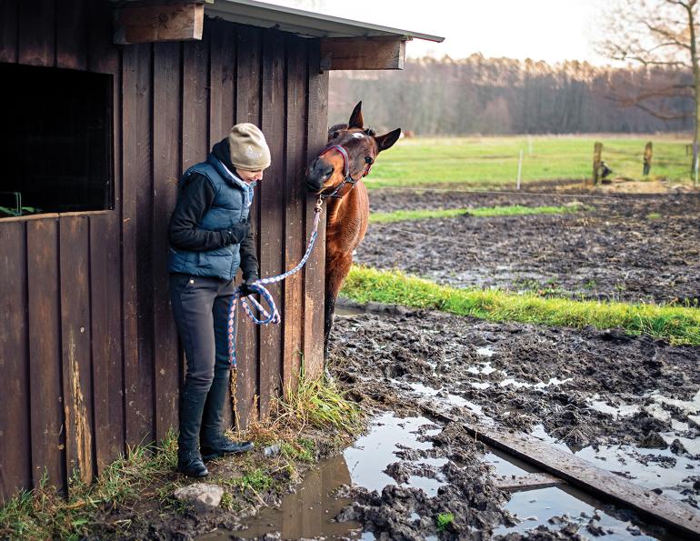 mud horses, mud management horses, hanit mud control grids, improve drainage horse barn, wet horse paddocks, best footing muddy horse paddock, mats for stable mud management