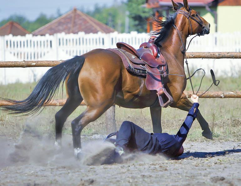 horse riding accidents, is riding horses dangerous? how dangerous are horses, falling off horse
