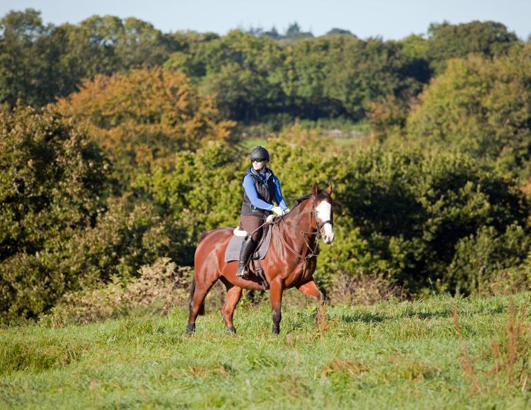 jec a ballou training exercises, trail riding exercises, core exercises horse, jec a ballou
