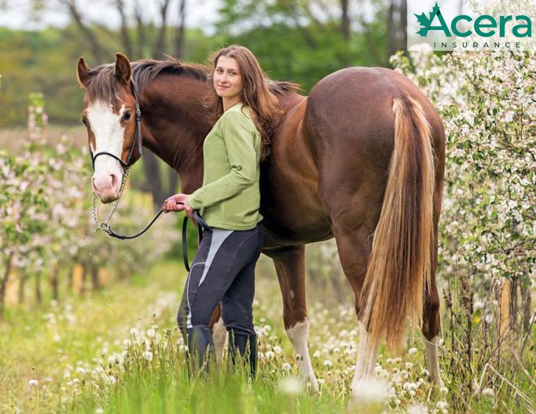 Acera Insurance (formerly CapriCMW), Managing Risk in horse Industry, changing horse industry, horse insurance in canada, intercity insurance, capri insurance