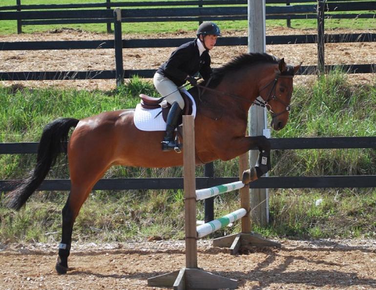 liz ashton on show jumping and supple jumping horses. Exercise to help horse stay supple, serpentine over fence, jumping horse on a circle, fences horses, flatwork horses