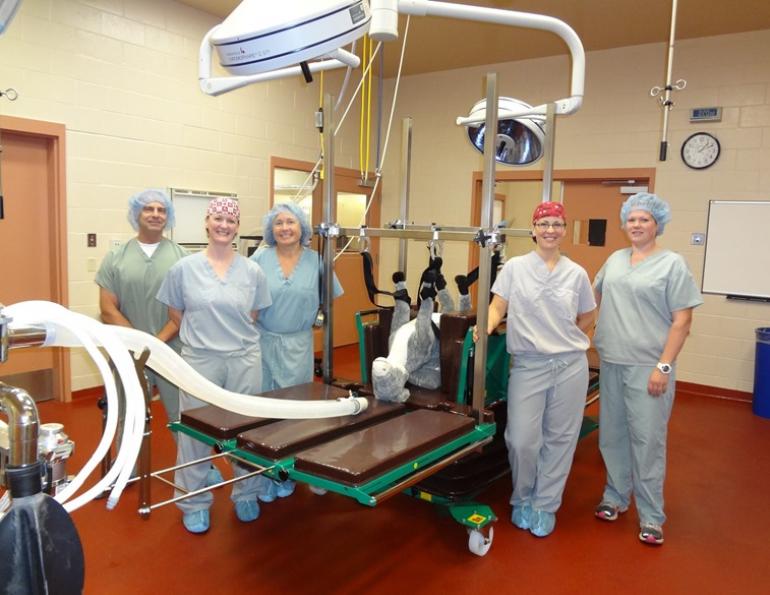 Equine Foundation of Canada, EFC charity Canada, equine welfare Canada, horse charity Canada history, veterinary scholarships horses Canada, equine education funding, Canadian horse industry support, equine nonprofit Canada