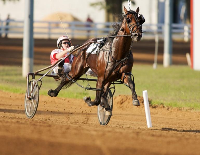 2012 readers choice awards, somebeachsomewhere, brent mcgrath nova scotia