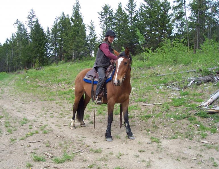 riding green horse, riding inexperienced horse, will clinging