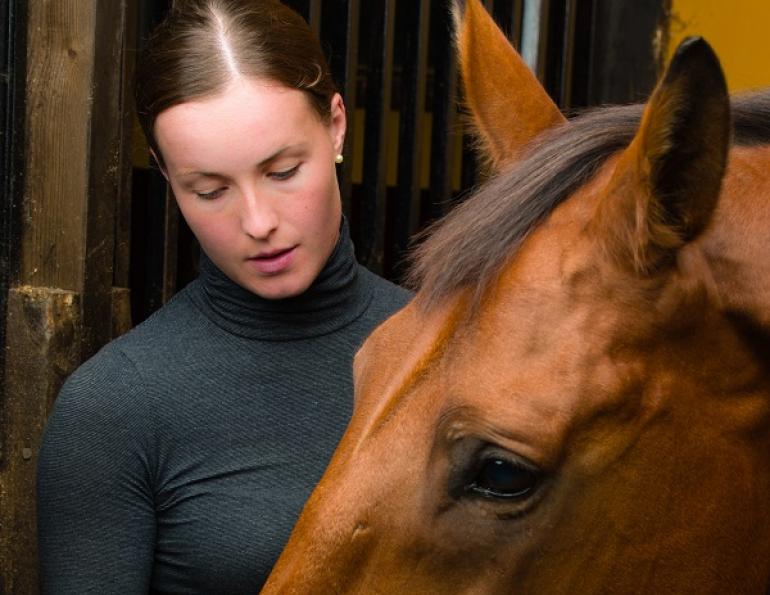 horse nsaids, equine nsaids, equine tranquilizer, equine sedative, horse tranquilizer, horse sedative, equine deworming, horse deworming