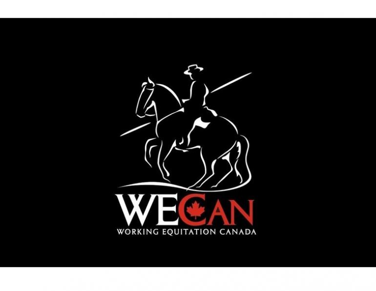 Tania Millen, Working Equitation Canada, WECan, opinion, Working Equitation World Championships, WAWE, Canadian working equitation, Canada working equitation team, working equitation selection process, Canadian equestrian sport, equestrian governance, team selection, athlete selection, equestrian transparency, horse sport Canada, Canadian horse industry, Sarah Bradley, Ilona Berbekar, Kerry Marit, Pam Esteves, Susanne Zimmerman, WAWE rankings, World Association for Working Equitation, equestrian opinion, Ho
