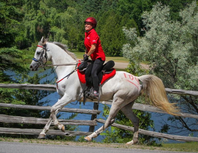therapeutic tools horse riders, Tania Millen, Hawley Bennett-Awad, Revitavet, Ceramic horse blankets, Wendy MacCoubrey, horse therapy