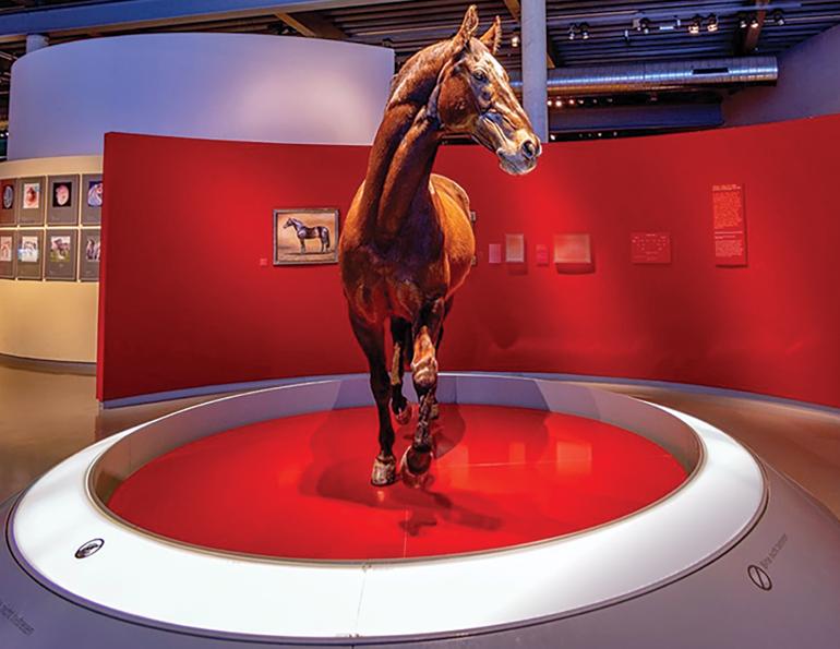 horse museums, best museums for horse lovers, museum of the horse england, national cowgirl museum, household cavalry museum, westphalian horse museum, museum of morgan horse, chantilly living horse museum