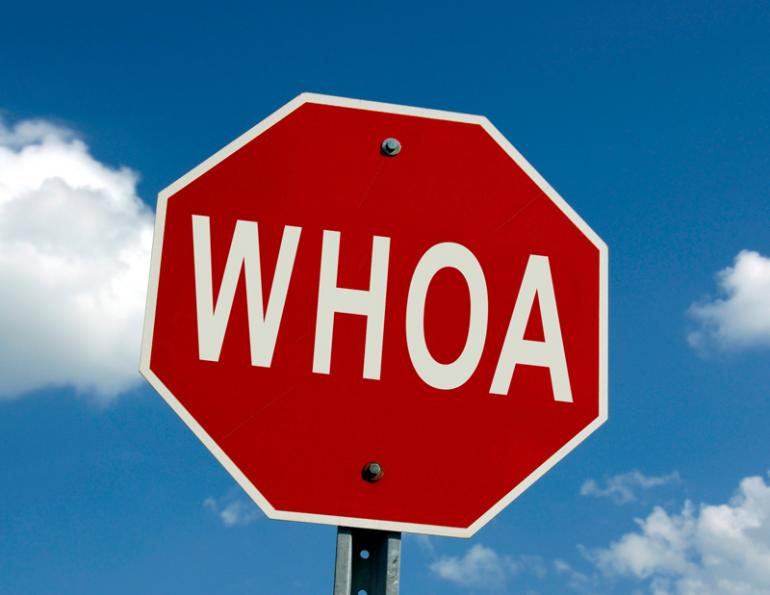 Jec Ballou, horse trainer, jec aristotle ballou, western dressage, jec ballou, dressage exercises for horse and rider, jec ballou, equine fitness, beyond horse massage, Jec Ballou