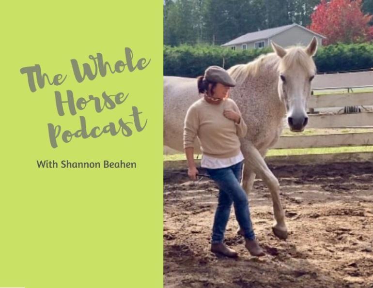 track systems horse, horse barn track systems, alexa linton track systems, shannon beahen track systems