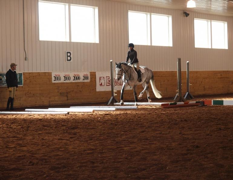 equine Walking Ground Poles, equine ground poles, jec aristotle ballou, western dressage, jec ballou, dressage exercises for horse and rider, jec ballou, equine fitness, beyond horse massage, Jec Ballou