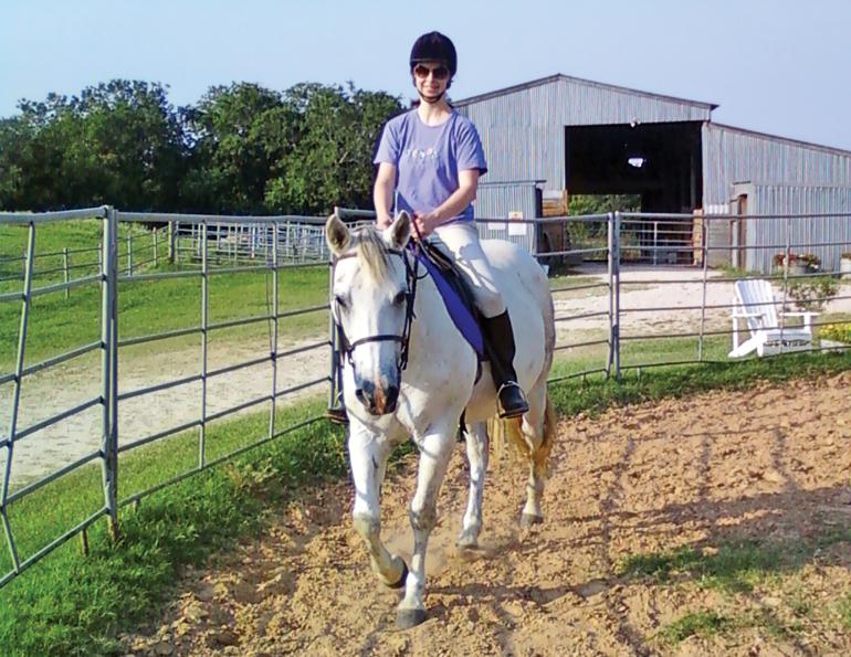 horse blogs, equine blogs, horse poetry, horses that died