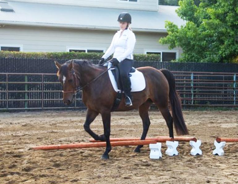 Jec Ballou, horse trainer, jec aristotle ballou, western dressage, jec ballou, dressage exercises for horse and rider, equine fitness