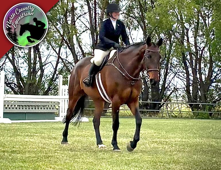 north country equestrian blog, abbey stilwell horse blog, amateur equestrian goals, equestrian goal setting, riding goals, adult amateur rider, equestrian mindset, riding improvement, horse show goals, growth mindset riding, balancing riding and life