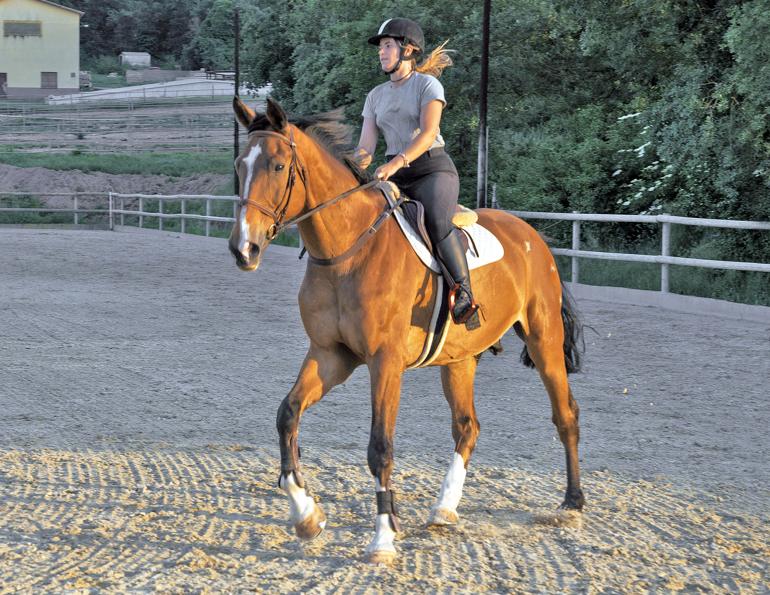 jec a. ballou warm up horse, warming horse up, loosening horse up