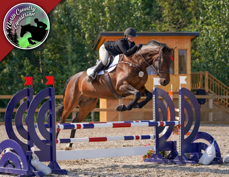 north country equestrian blog, horse budgeting, economical horse ownership, winter horse grooming, abby stilwell blog