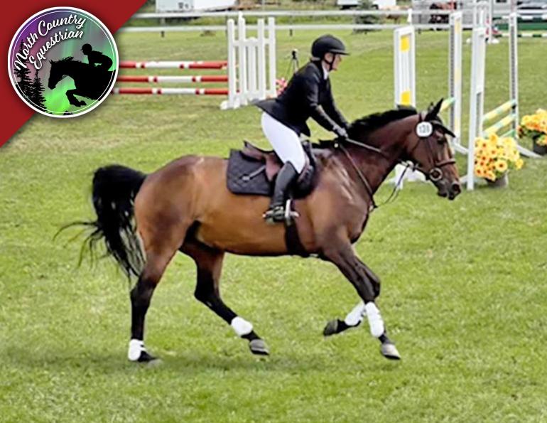 canadian horse bloggers, horse blogs in canada