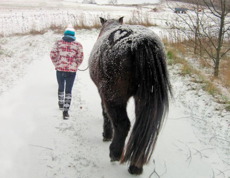 Jec Ballou, horse trainer, jec aristotle ballou, western dressage, jec ballou, dressage exercises for horse and rider, jec ballou, equine fitness, beyond horse massage, Jec Ballou