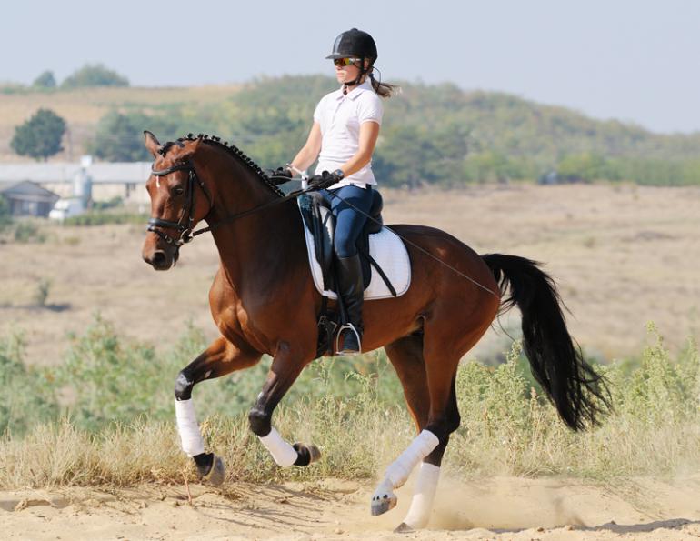 benefits of galloping, Jec Ballou, horse trainer, jec aristotle ballou, western dressage, jec ballou, dressage exercises for horse and rider, jec ballou, equine fitness, beyond horse massage, Jec Ballou