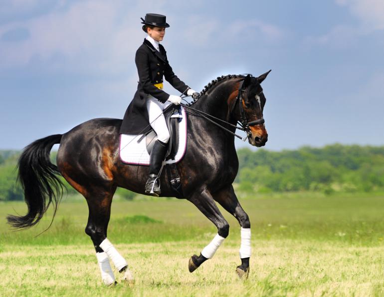 should I read old dressage books, reading old dressage books, befefits of old reading old dressage books, Jec Ballou, horse trainer, jec aristotle ballou, western dressage, jec ballou, dressage exercises for horse and rider, jec ballou, equine fitness, beyond horse massage, Jec Ballou