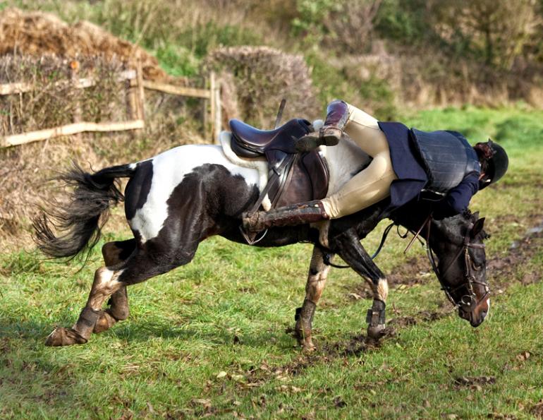 Jec Ballou, horse trainer, jec aristotle ballou, western dressage, jec ballou, dressage exercises for horse and rider, jec ballou, equine fitness, beyond horse massage, Jec Ballou