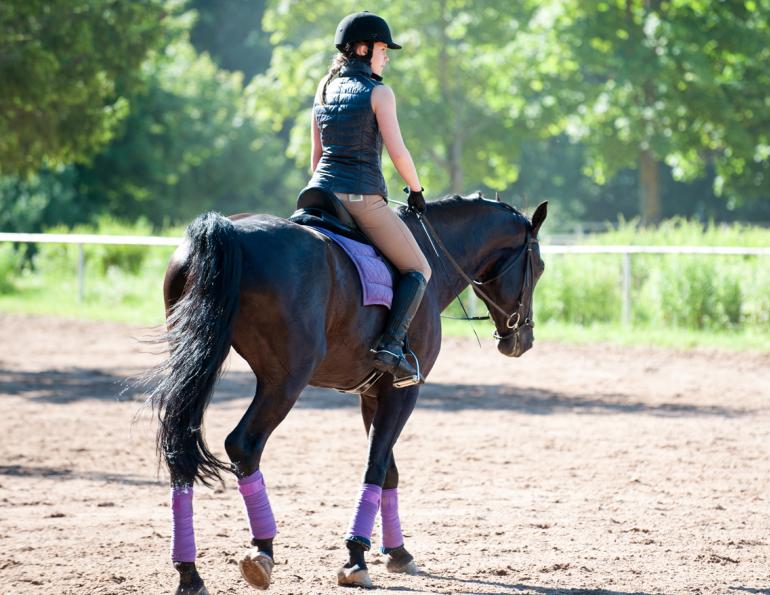 Jec Ballou, horse trainer, jec aristotle ballou, western dressage, jec ballou, dressage exercises for horse and rider, equine fitness
