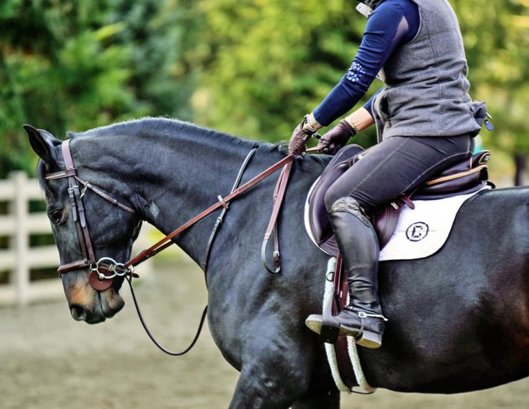 the relatable rider, horse blog, equine blog, april d. ray horse blog, canadian horse journal blog, horsejournals blog