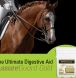 horse health, horse health supplement, joint pain supplement, animal health,