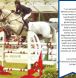 horse health, horse health supplement, joint pain supplement, animal health,