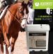 horse health, horse health supplement, joint pain supplement, animal health,