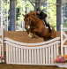 equestrian riding ring equipment, riding ring poles, riding accessories, equestrian training accessories, pony poles,