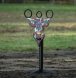 equestrian riding ring equipment, riding ring poles, riding accessories, equestrian training accessories, pony poles,
