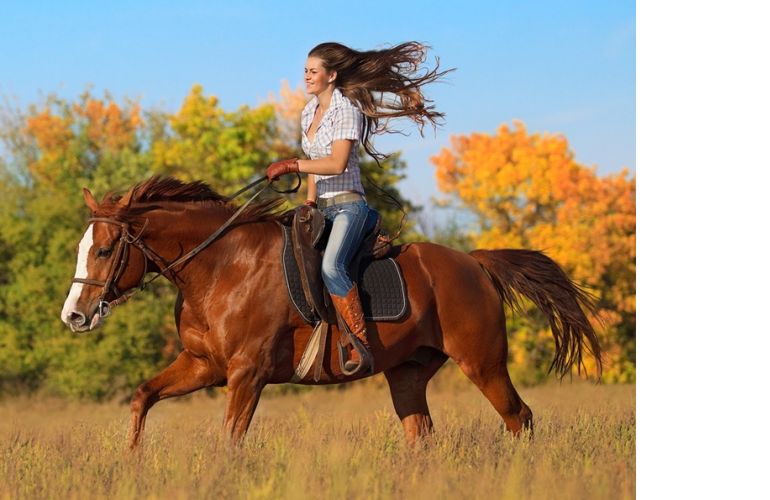 do you wear a horse helmet, should i wear a horse helmet, riding safety, horse riding safety, best horse helmets