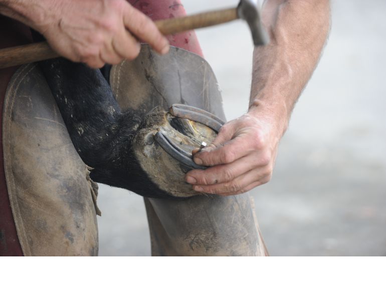 Stan Walchuk Jr, horse trail riding, make horse shoe stick horse trail, Diamond Toed horseshoe, Heeled horseshoe