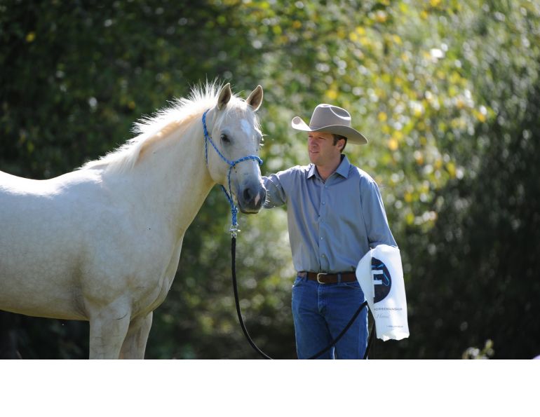 desensitizing the horse, Horsemanship Horse Training, restarting horse training, jonathan field, training young horse