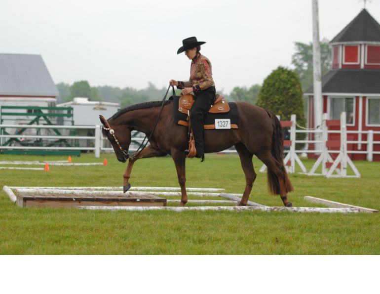 Lindsay Grice, prepare for horse show, prepare for equine show, showing a horse, how to show a horse, prepare for a dressage test, prepare for a horse jumper class, prepare for a Western horse class