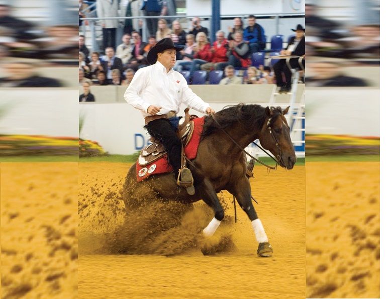 Duane Latimer 2006 World Equestrian Games in Aachen, Germany