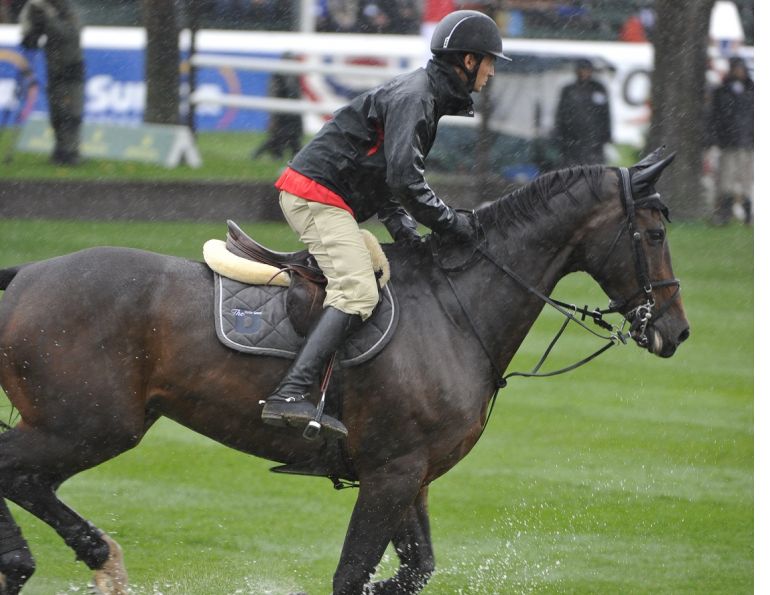 waterproof horse tack, damage to horse saddle or bridle, caring for horse tack, how to clean horse tack