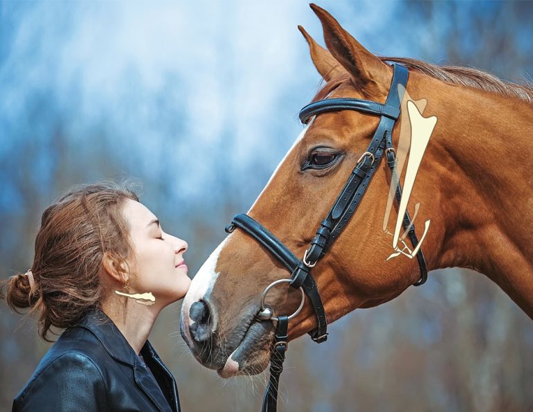 the equine hyoid bone, does my horse have tmd? alexa linton, how to tell if my horse has an imbalance of the hyoid apparatus