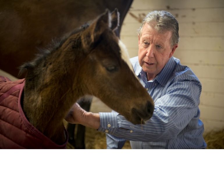 foals maladjustment syndrome, autism and horses, hypoxia horse, dummy foal syndrome, lack of oxygen foal, isaac pessah, madigan foal squeeze procedure