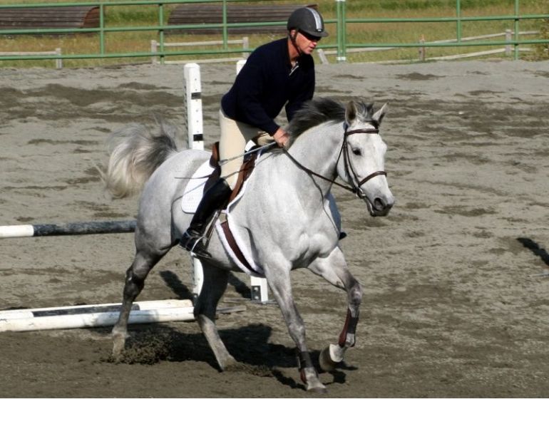 horse rider psychology, mental horse riding traps, improve horse riding focus, April Clay, preparing for horse riding competition, equine psychology