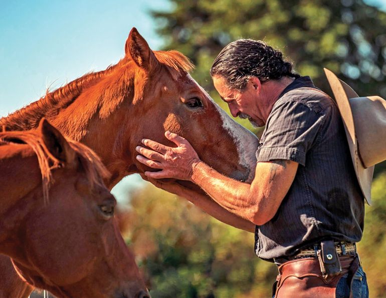 horse trailering, horses trailers, worthy of horse, good to your horse, respect your horse, pressure-free horse training methods