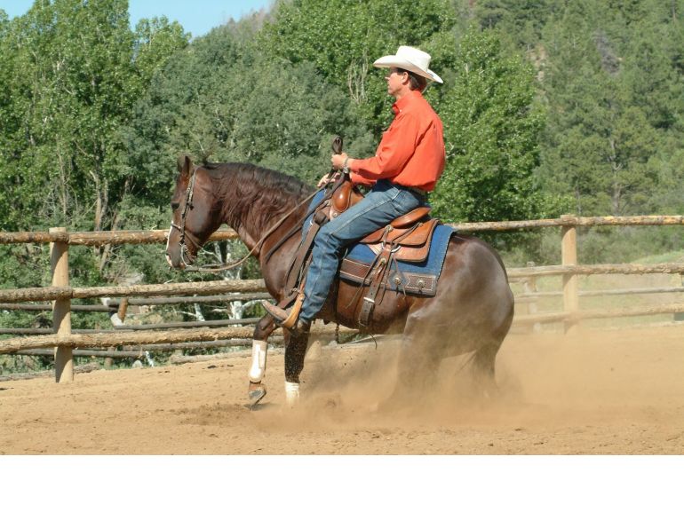 outgrowing your horse, finding perfect horse, Parelli Natural Horsemanship, Pat Parelli, horse buying tips, perfect equine partner outgrowing your horse, finding perfect horse, Parelli Natural Horsemanship, Pat Parelli, horse buying tips, perfect equine partner