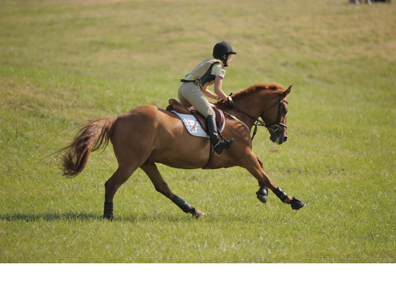 Good Horse Rider Position