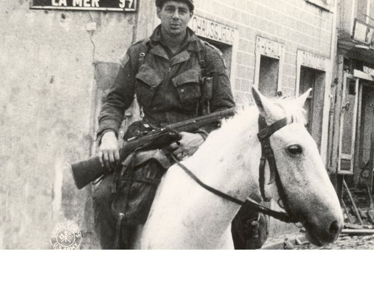 war horse, horses in war, horses in service, world war two horse, world war one horse