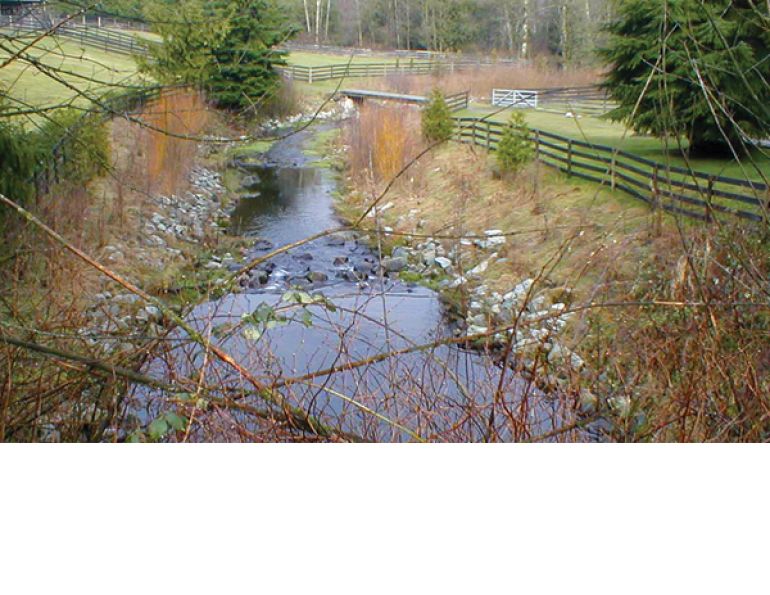 horse property stream management, waterway management horses, horse farm drainage, stream safety horses, environmental stewardship horse farms, erosion control horse property, livestock water access, managing streams agriculture, horse farm best practices